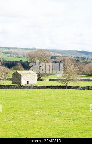 Immagini paesaggistiche catturate vicino al villaggio di Aysgarth, situato nel nord dello Yorkshire Inghilterra Foto Stock