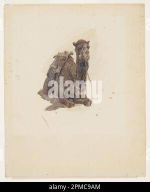 Disegno, dromedario accovacciato; Frederic Edwin Church (americano, 1826–1900); USA; olio su cartone; tappetino: 24,2 x 45,7 cm (9 1/2 x 18 pollici) Immagine: 30 x 24,2 cm (11 13/16 x 9 1/2 pollici) Foto Stock