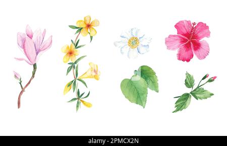 Set acquerello floreale. Fiori esotici. Illustrazione botanica disegnata a mano isolata su sfondo bianco. Collezione botanica. Può essere utilizzato per gli adesivi Foto Stock