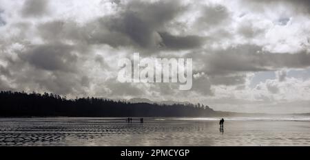 La gente cammina lungo la spiaggia con la bassa marea nel Parco Nazionale Pacific Rim, appena a sud di Tofino sull'Isola di Vancouver. Foto Stock