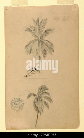 Disegno, disegni. Due schizzi. Palms.; Frederic Edwin Church (americano, 1826–1900); USA; grafite su carta ; foglio: 18,2 x 10,9 cm (7 3/16 x 4 5/16 pollici) Foto Stock