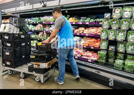 Miami Florida Doral, Walmart Supercenter sconto grande scatola reparto, produrre insalate verdi carote lattuga, associate stock clerk, negozi business Foto Stock