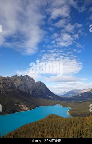 Peyto Lake, un lago alimentato da ghiacciaio lungo l'Icefields Parkway nel paesaggio delle Montagne Rocciose di Banff National Park, Alberta, Canada Foto Stock
