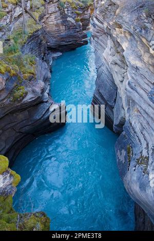 Acque blu turchesi del fiume Athabasca che scorrono attraverso il canyon di Athabasca Falls sull'Icefields Parkway nel Jasper National Park, Alberta, Canada Foto Stock