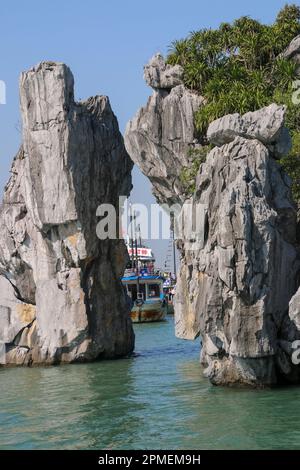 Baia di Halong in Vietnam Hạ Long Bay o Baia di Halong è un sito patrimonio dell'umanità dell'UNESCO e popolare destinazione di viaggio nella provincia di Quảng Ninh, Vietnam. Foto Stock