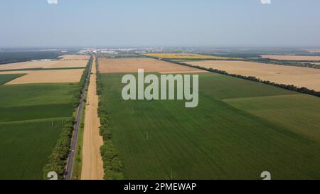 Bella vista panoramica di molti campi agricoli con diverse piante verdi agricole e grano giallo maturo, strada con auto in movimento e la città il giorno d'estate. Drone aereo. Paesaggio di raccolto agrario Foto Stock