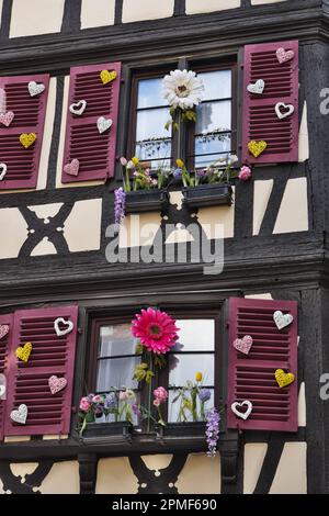 Francia, Alto Reno, Colmar, Rue des Marchands, case in legno, Finestra, decorazioni pasquali Foto Stock