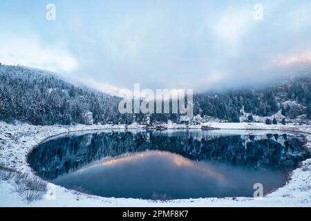 Francia, Alto Reno, Parco Naturale Regionale dei Ballons des Vosges, Monti Vosgi, Orbey, le Lac Noir sotto la neve (955 m), lago glaciale in un circo glaciale di alte scogliere di granito Foto Stock