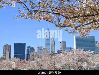 (230413) -- NEW YORK, 13 aprile 2023 (Xinhua) -- i fiori di ciliegia sono visti con l'orizzonte della città a New York, Stati Uniti, il 12 aprile 2023. (Xinhua/li Rui) Foto Stock