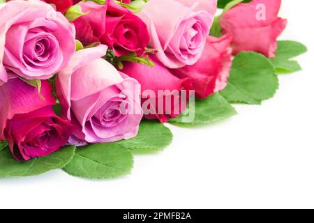 Bouquet di rose rosse e rosa su fondo bianco Foto Stock