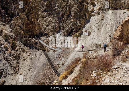 Nepal, Annapurna Conservation Area Project, circuito Annapurna, alta valle Marsyangdi, escursionista sul percorso di trekking al lago Tilicho attraversando ponte sospeso Foto Stock