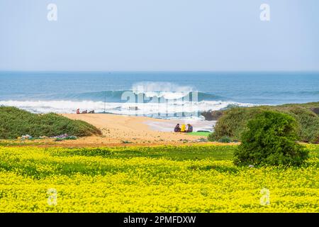 Marocco, provincia di El Jadida, Riserva Naturale della Laguna di Sidi Moussa Foto Stock