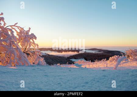 Francia, Vosgi (88), Parco Naturale Regionale dei Ballons des Vosges, la Bresse, ultima luce sulla cima di Hohneck 1363 m sotto la neve, sullo sfondo un mare di nuvole sopra i Vosgi Foto Stock