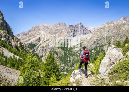 Francia, Alpes-de-Haute-Provence, Saint-Paul-sur-Ubaye, punto di vista sulla valle Ubaye dalla valle del Torrent de Chillol (2180 m) Foto Stock