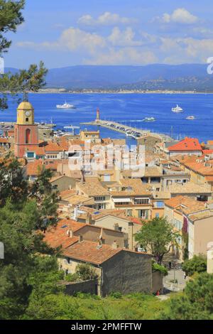 Francia, Var, Saint Tropez, vista dalla cittadella sul centro storico e il campanile della chiesa di Notre Dame de l'Assomption, il suo porto e il Golfo Foto Stock