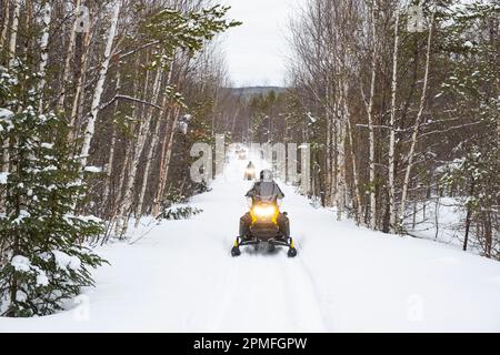 Canada, Provincia del Quebec, Parco Regionale del Lac Taureau, motoslitta fuori pista Foto Stock