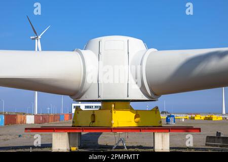 Rotori giganti di turbine eoliche sul cantiere di costruzione di mulini a vento per costruire fattorie a vento in mare, sotto il cielo blu Foto Stock