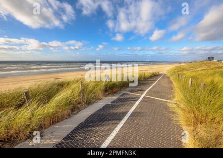 Sentiero lastricato attraverso l'ingresso del paesaggio delle dune alla spiaggia del Mare del Nord. Wijk aan Zee, Olanda del Nord, Paesi Bassi. Paesaggio marino in natura europea. Foto Stock