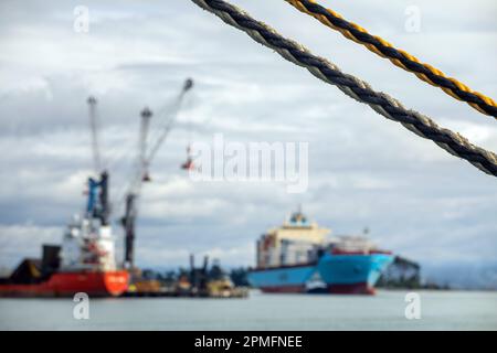 Foto di Tim Cuff - 13 aprile 2023 - attività intorno a Port Nelson, come nave container Maersk Inverness arriva, Nelson, Nuova Zelanda Foto Stock