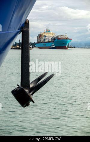 Foto di Tim Cuff - 13 aprile 2023 - attività intorno a Port Nelson, come nave container Maersk Inverness arriva, Nelson, Nuova Zelanda Foto Stock