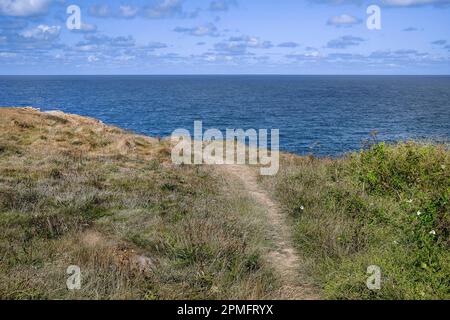 Un sentiero accidentato sulla Warren su Pentire Point East a Newquay in Cornovaglia nel Regno Unito. Foto Stock