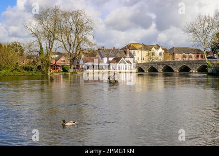 Fordingbridge, Hampshire, Inghilterra, Regno Unito, 13th aprile 2023, Tempo: Sole primaverile e un'idilliaca scena inglese come i pescatori gettano una linea nel fiume Avon nella città lungo il fiume che si trova sul bordo della Nuova Foresta. Credit: Paul Biggins/Alamy Live News Foto Stock