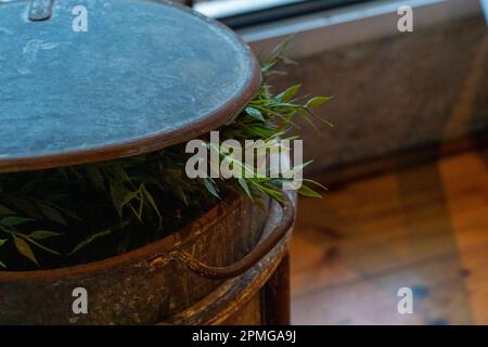 Vecchia caldaia con impianti all'interno Foto Stock