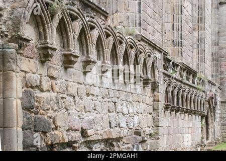 Pietre ornate sulle pareti dell'Abbazia di Bolton sulla tenuta dell'Abbazia di Bolton del Duca di Devonshire. Foto Stock