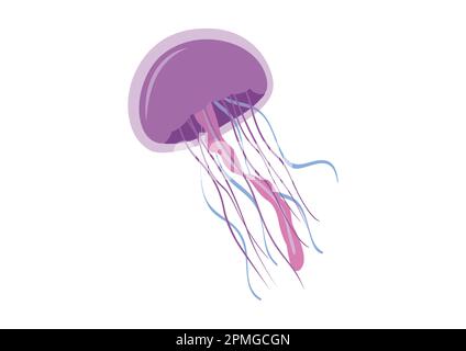 Meduse di cartone animato in stile piatto. Illustrazione vettoriale di meduse isolate su sfondo bianco Illustrazione Vettoriale