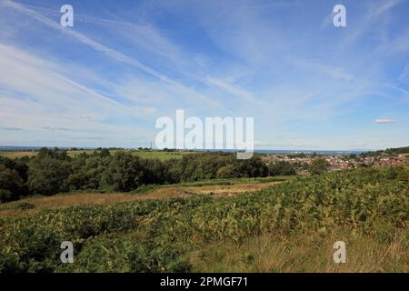 White Coppice The West Pennine Moors Lancashire England Foto Stock