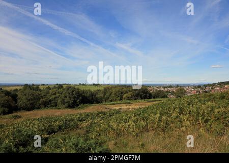 White Coppice The West Pennine Moors Lancashire England Foto Stock