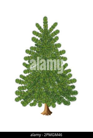 Vettore ad albero di abete realistico. Albero di Natale Illustrazione Vettoriale