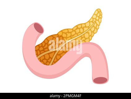 Icona del pancreas in stile cartoon isolato su sfondo bianco. Disegno vettoriale del pancreas Illustrazione Vettoriale