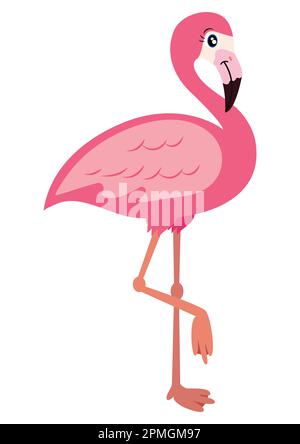 Illustrazione vettoriale del fenicottero rosa isolata su sfondo bianco. Flamingo Clipart Illustrazione Vettoriale