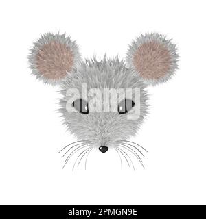 Testa del mouse realistica. Effetto fur Illustrazione Vettoriale