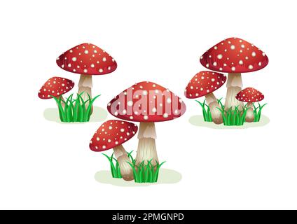 Set di funghi isolati su sfondo bianco Illustrazione Vettoriale