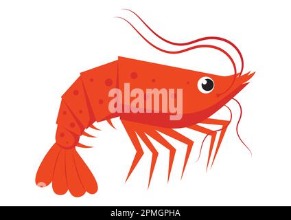Gamberetti piatti isolati su sfondo bianco. Personaggio dei cartoni animati. Gambetto vettoriale Illustrazione Vettoriale