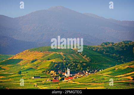 Vista del villaggio del vino di Kathenthal di fronte ai Vosgi Montagne, Alsazia, Francia Foto Stock