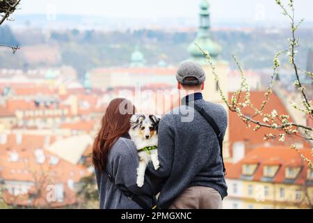Gli uomini imparano il suo cane sheltie nel giardino primaverile Petrin a Praga Foto Stock