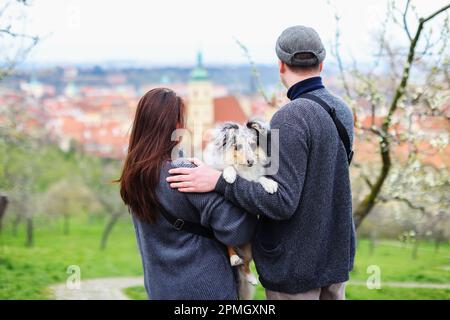 Gli uomini imparano il suo cane sheltie nel giardino primaverile Petrin a Praga Foto Stock