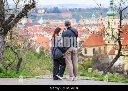 Gli uomini imparano il suo cane sheltie nel giardino primaverile Petrin a Praga Foto Stock