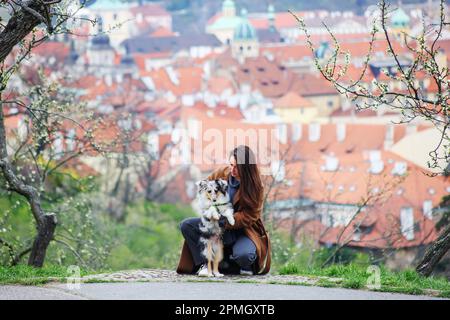 Gli uomini imparano il suo cane sheltie nel giardino primaverile Petrin a Praga Foto Stock