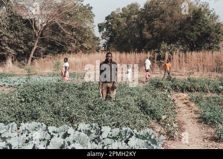 Ouagadougou, Burkina Faso, Africa. Scene di vita lavorativa nei sobborghi della capitale, dove l'economia si basa essenzialmente sull'agricoltura Foto Stock