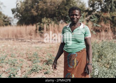 Ouagadougou, Burkina Faso, Africa. Scene di vita lavorativa nei sobborghi della capitale, dove l'economia si basa essenzialmente sull'agricoltura Foto Stock