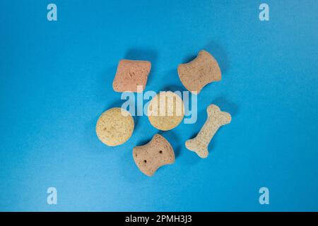 sei diversi biscotti per cani di forma isolata su sfondo blu Foto Stock