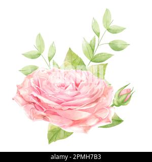 Illustrazione di acquerello floreale. Bouquet con delicate rose per biglietti, design di nozze. Foto Stock