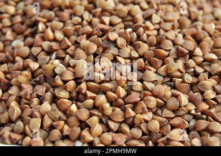 Sfondo da cereali secchi trebbiati cereali grano saraceno Foto Stock