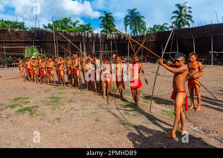 Uomini che praticano la sparatoria dei loro archi e frecce, tribù Yanomami, Venezuela meridionale, Sud America Foto Stock