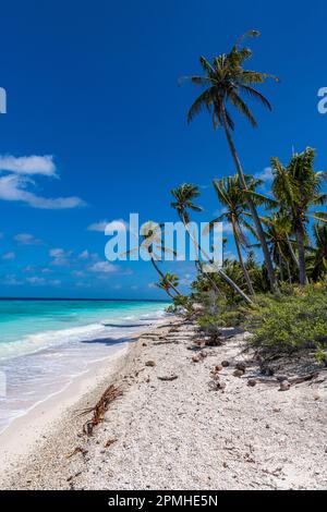 Spiaggia di sabbia bianca PK-9, Fakarava, arcipelago delle Tuamotu, Polinesia francese, Pacifico del Sud, Pacifico Foto Stock