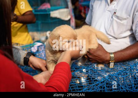 Un allevatore indiano di cani non identificato che vende cuccioli al mercato degli animali domestici di Galiff Street, Kolkata, Bengala Occidentale, India Foto Stock